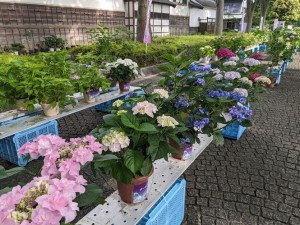 6月イベント3