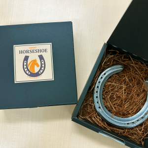 まちづくり府中2